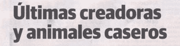 Noticias Babelarte.com